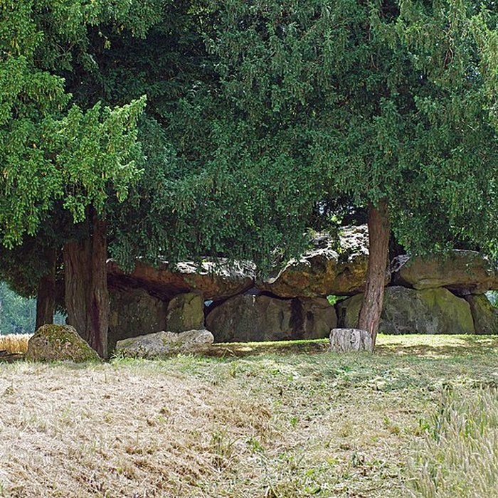 Photo de Dolmen de la Grotte aux Fées à Saint-Antoine-du-Rocher