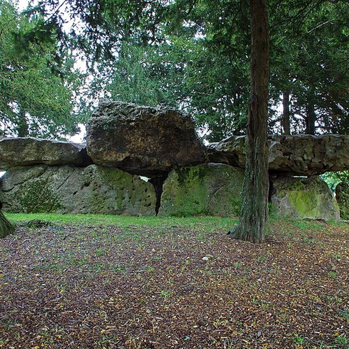 Photo de Dolmen de la Grotte aux Fées à Saint-Antoine-du-Rocher