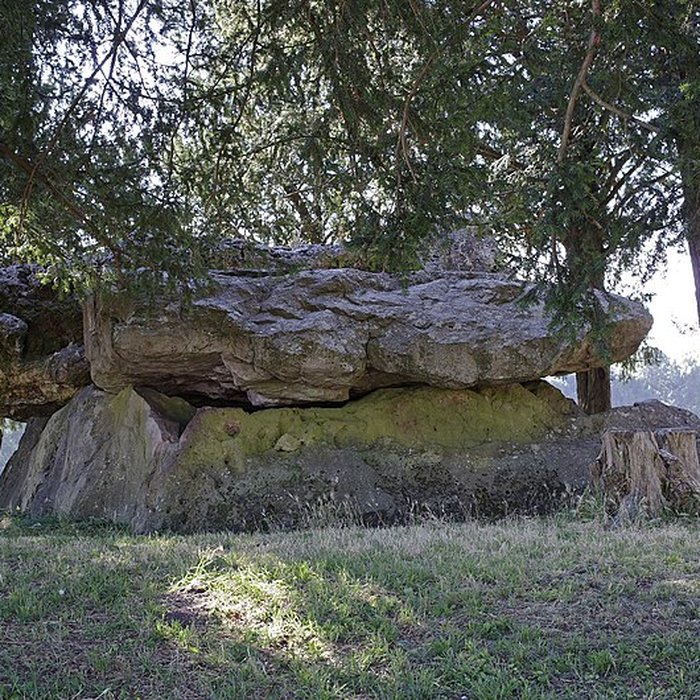 Photo de Dolmen de la Grotte aux Fées à Saint-Antoine-du-Rocher