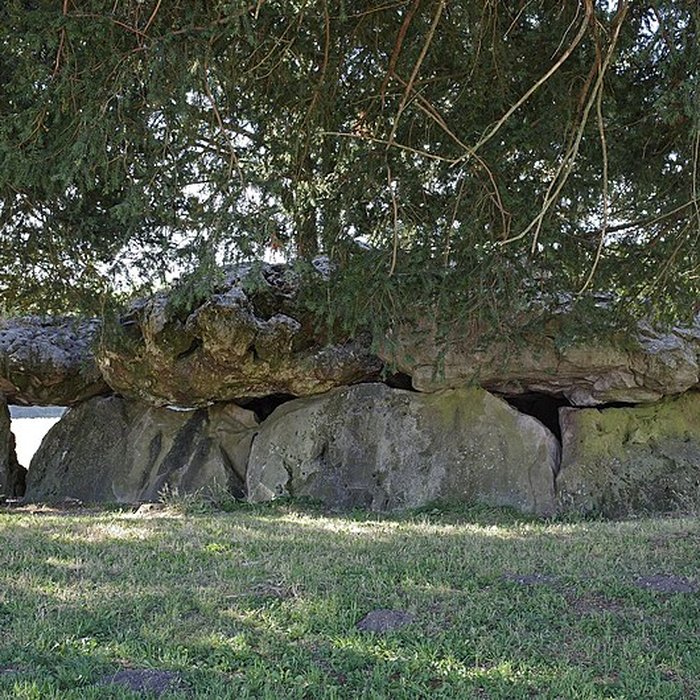 Photo de Dolmen de la Grotte aux Fées à Saint-Antoine-du-Rocher