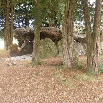 Dolmen de la Grotte aux Fées à Saint-Antoine-du-Rocher