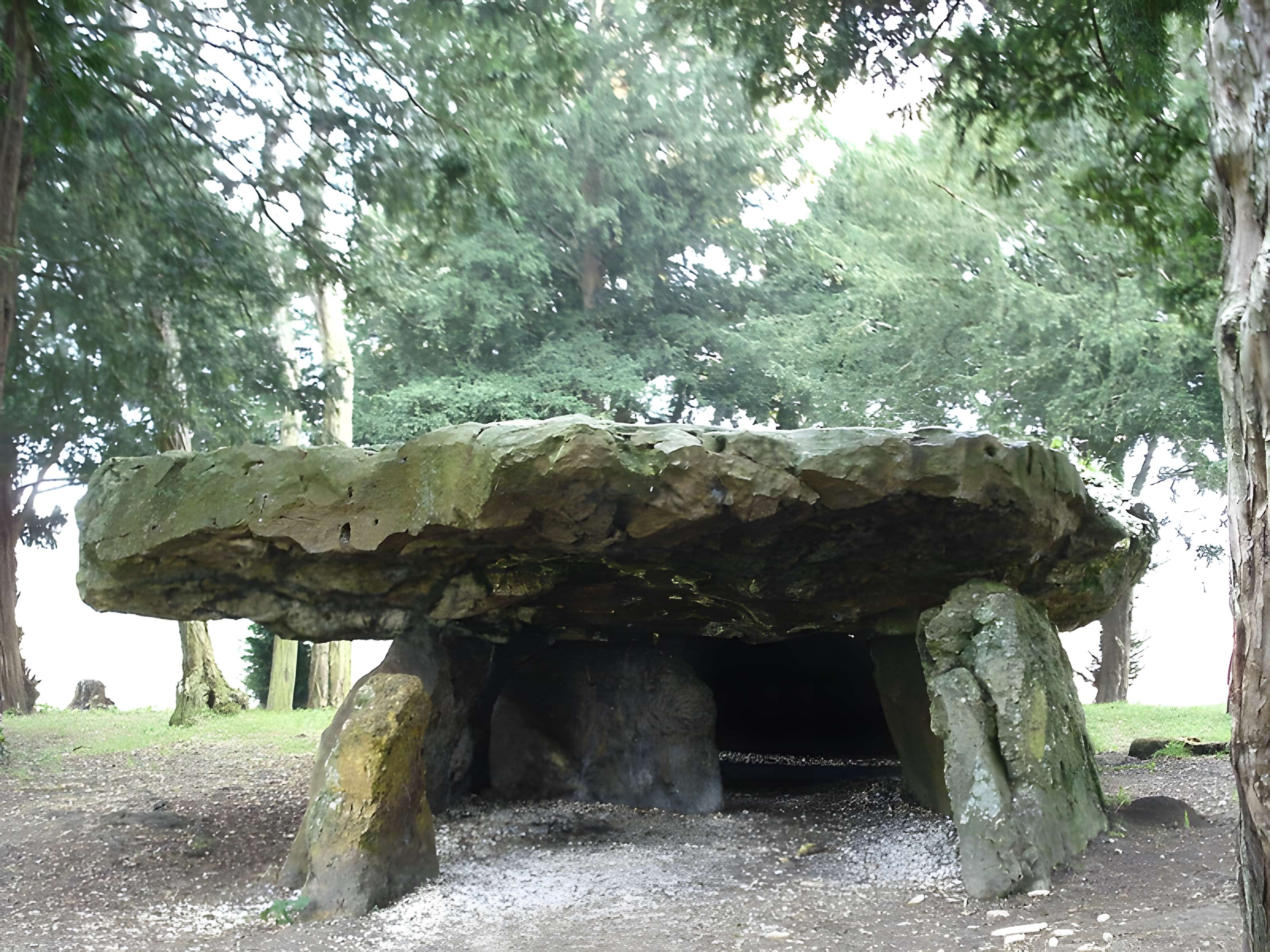 Dolmen de la Grotte aux Fées à Saint-Antoine-du-Rocher