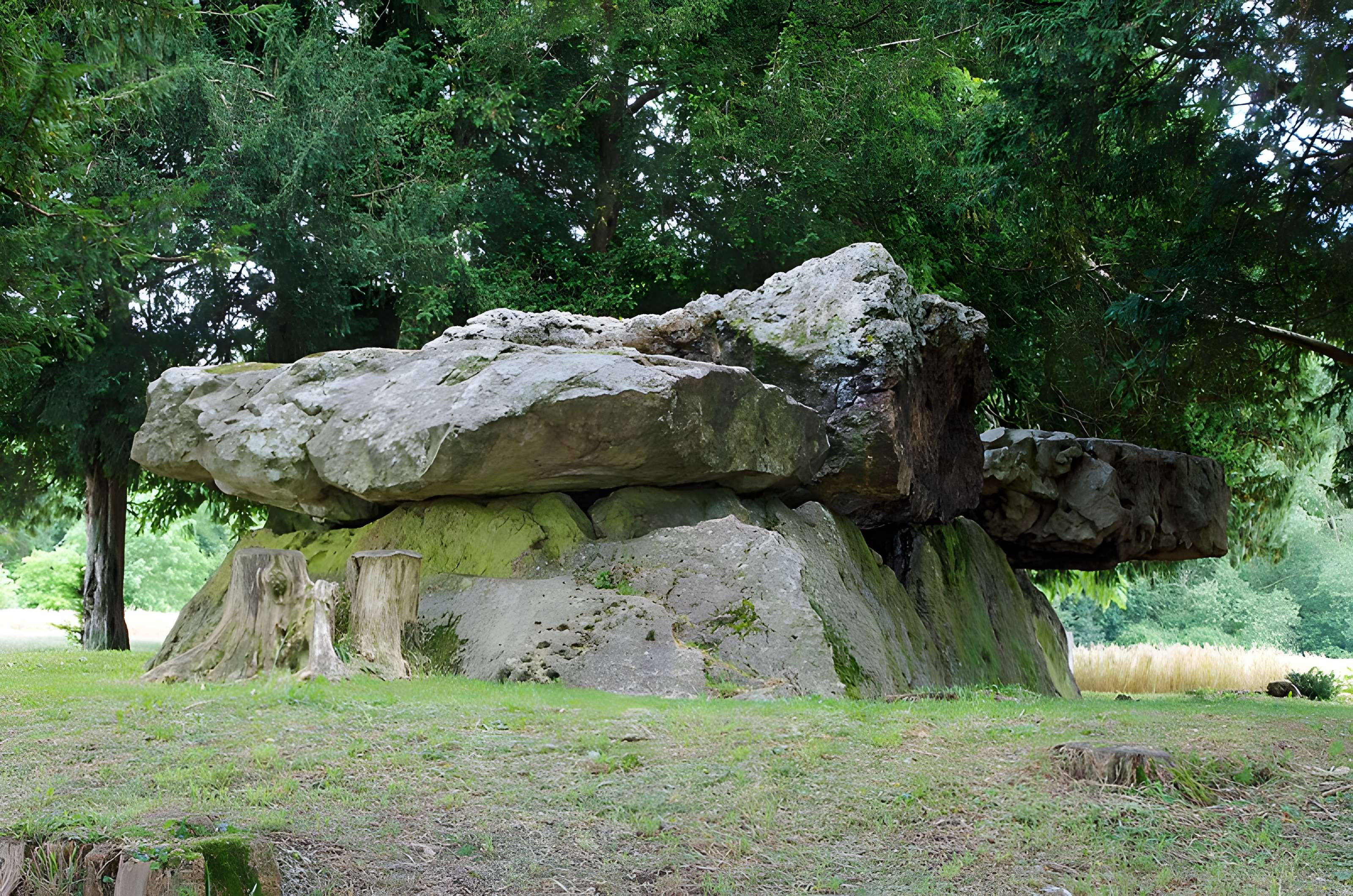 Dolmen de la Grotte aux Fées à Saint-Antoine-du-Rocher