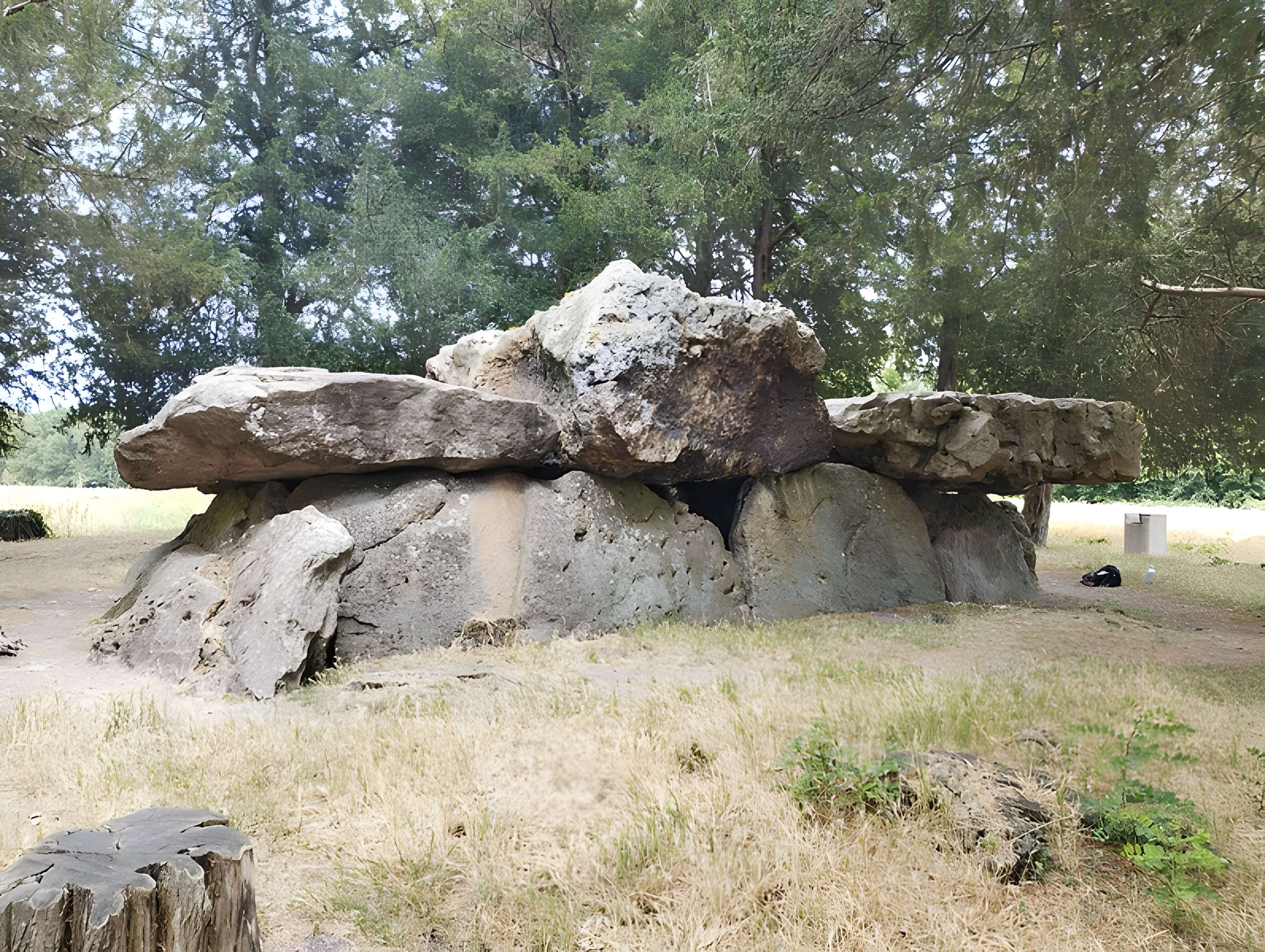 Dolmen de la Grotte aux Fées à Saint-Antoine-du-Rocher