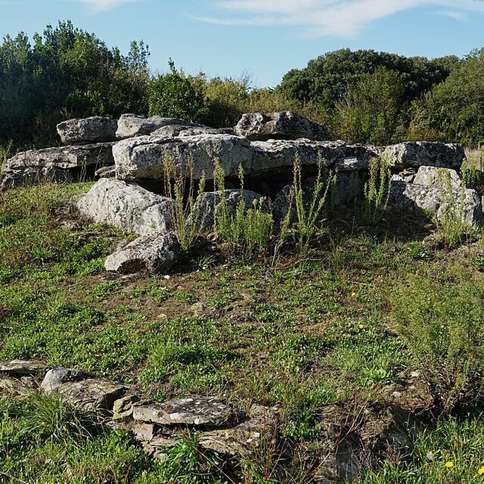 Photo de Dolmen de la Joselière à Pornic