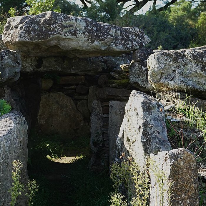 Photo de Dolmen de la Joselière à Pornic