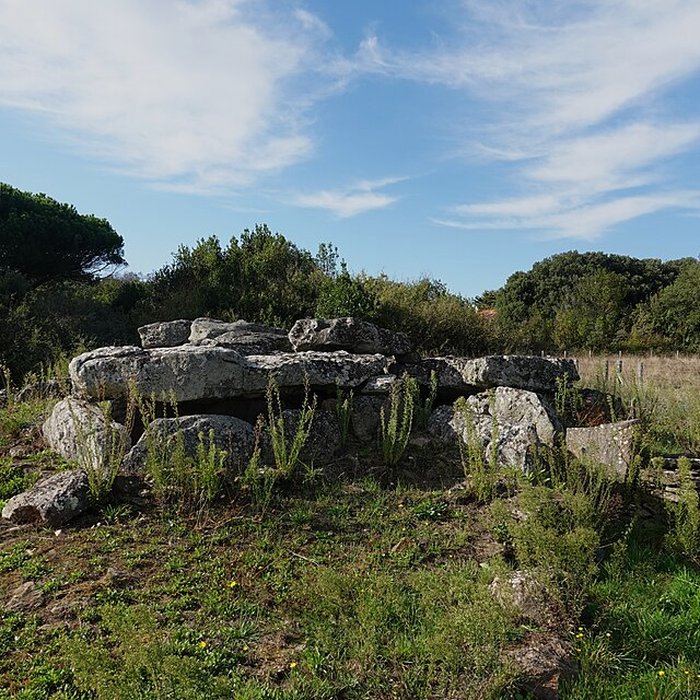 Photo de Dolmen de la Joselière à Pornic