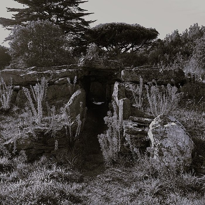 Photo de Dolmen de la Joselière à Pornic
