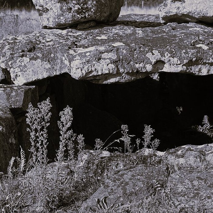 Photo de Dolmen de la Joselière à Pornic