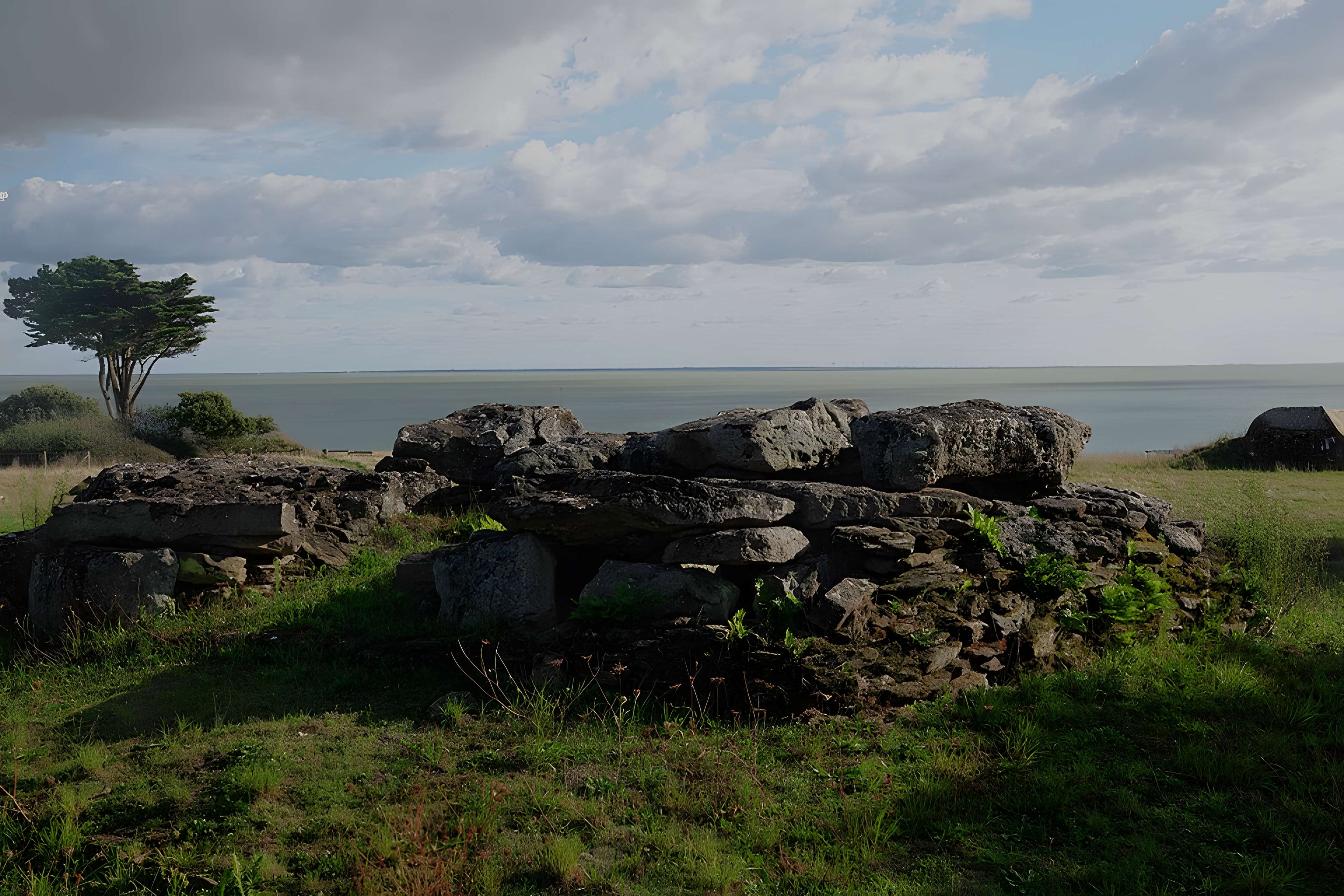 Dolmen de la Joselière à Pornic