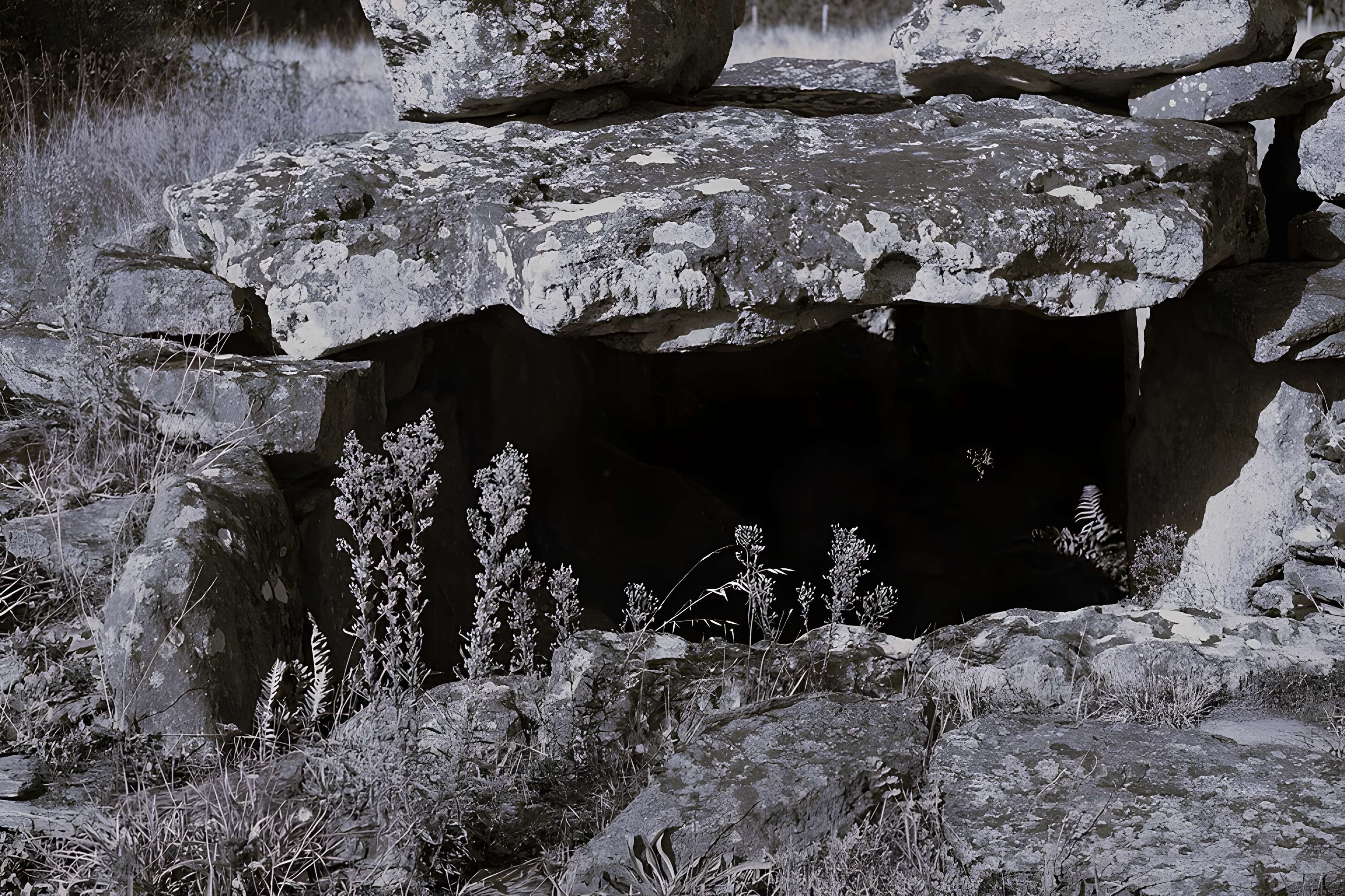 Dolmen de la Joselière à Pornic