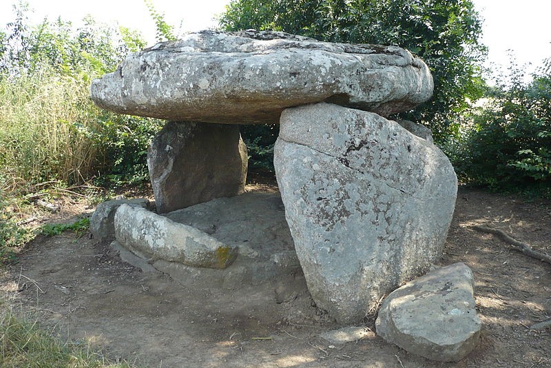 Photo de Dolmen de la Pierre Folle du Plessis au Bernard