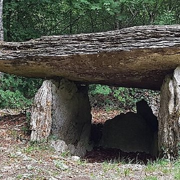 Dolmen de la Pierre-Alot à Vitry-lès-Nogent