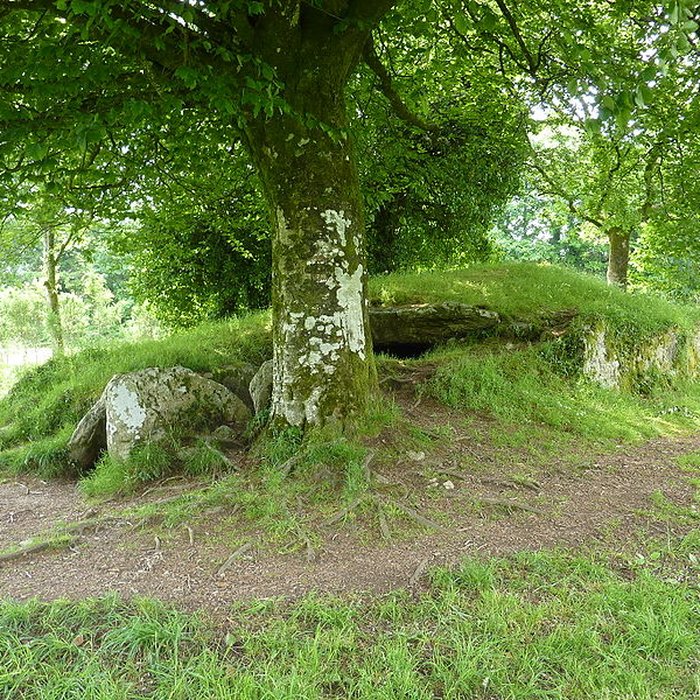 Photo de Dolmen de Ty-ar-Boudiged à Brennilis