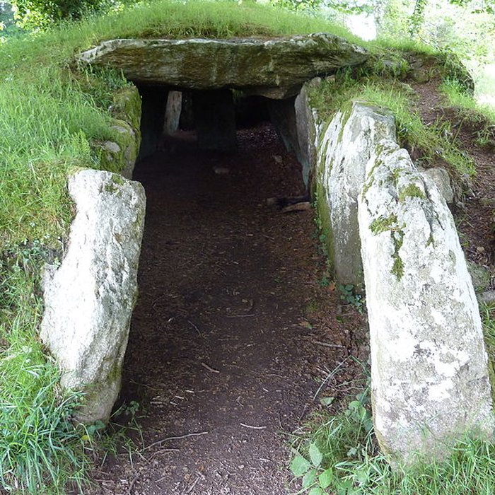Photo de Dolmen de Ty-ar-Boudiged à Brennilis