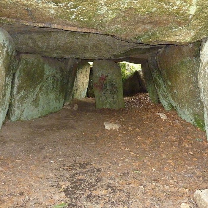 Photo de Dolmen de Ty-ar-Boudiged à Brennilis