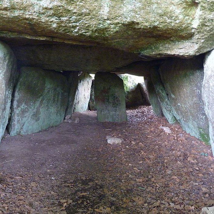 Photo de Dolmen de Ty-ar-Boudiged à Brennilis