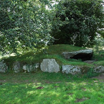 Dolmen de Ty-ar-Boudiged à Brennilis