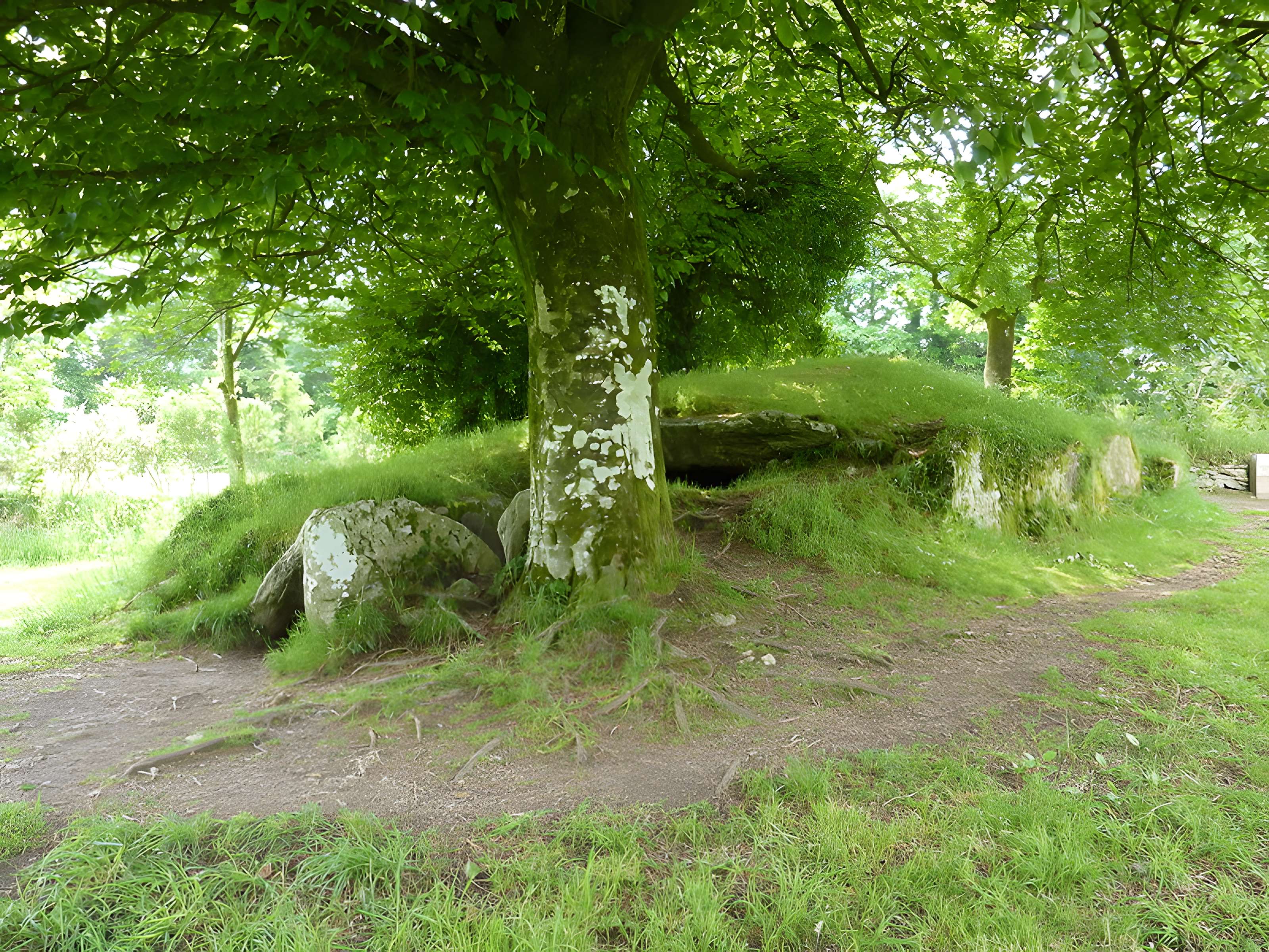 Dolmen de Ty-ar-Boudiged à Brennilis