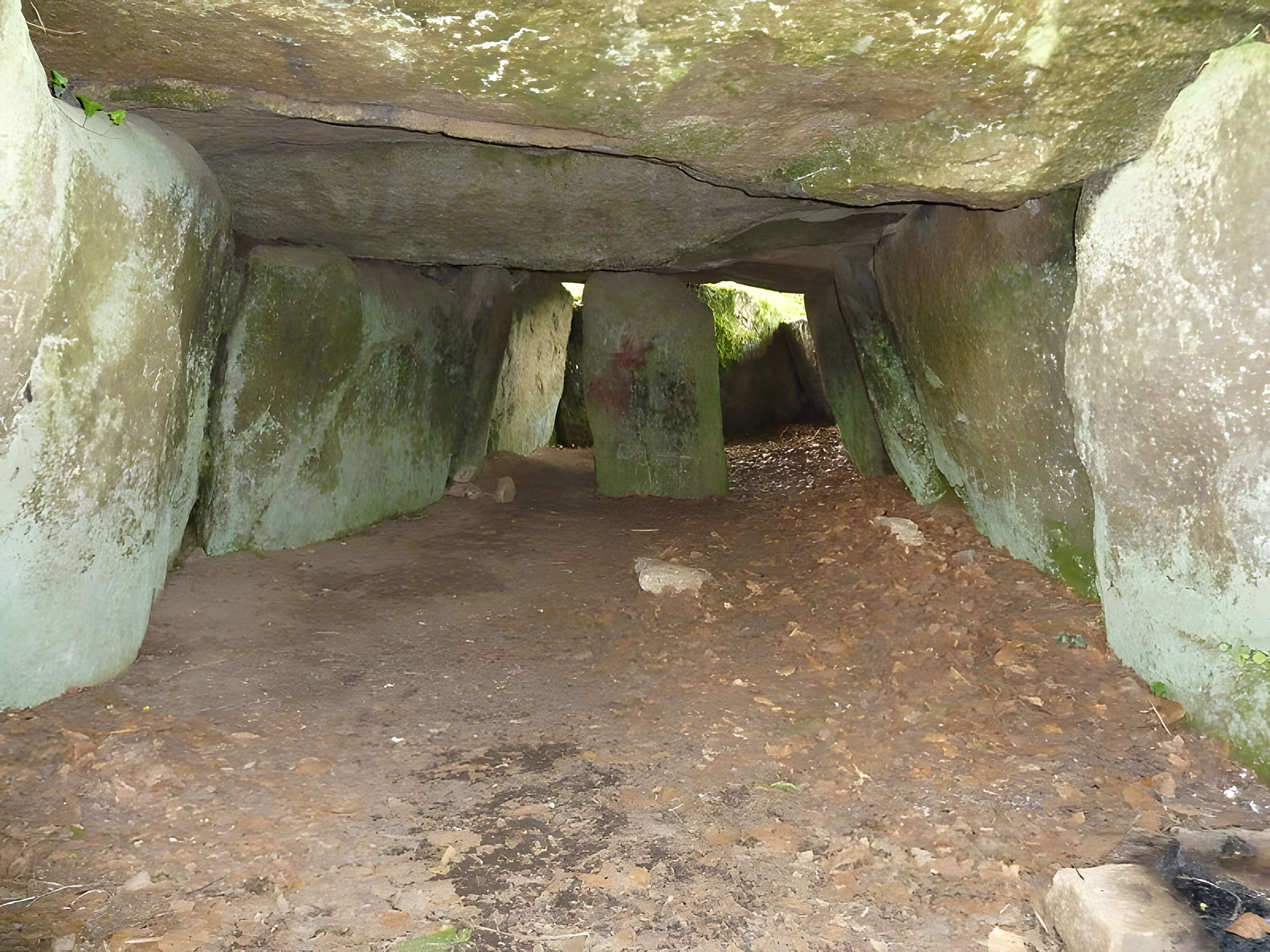 Dolmen de Ty-ar-Boudiged à Brennilis