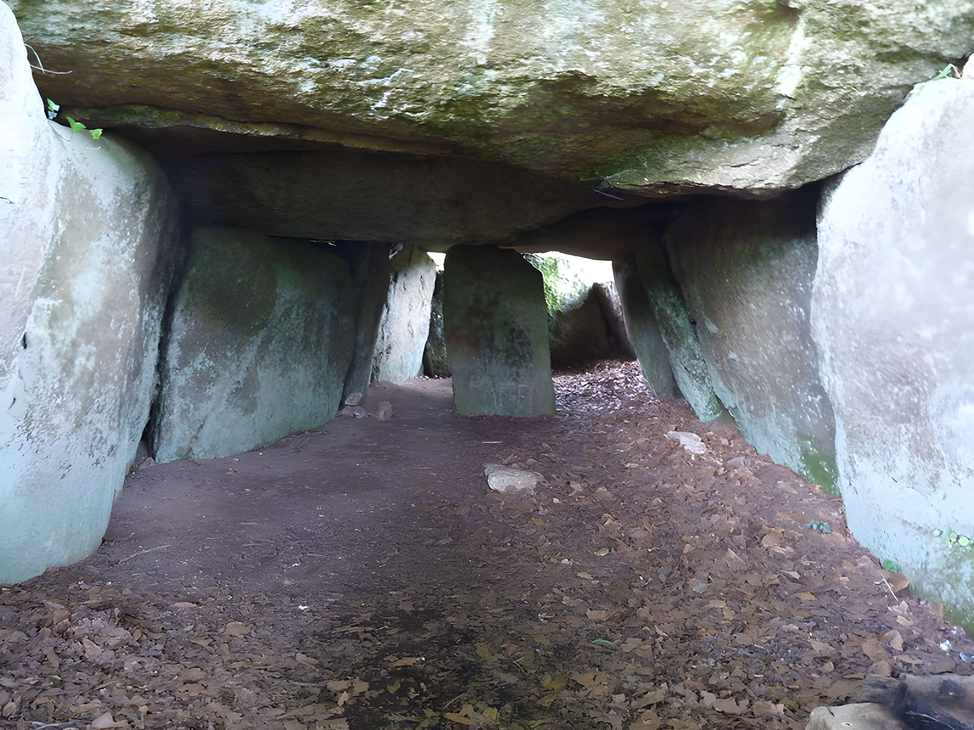 Dolmen de Ty-ar-Boudiged à Brennilis