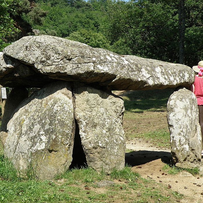 Photo de Dolmen du Parc à Saint-Nectaire