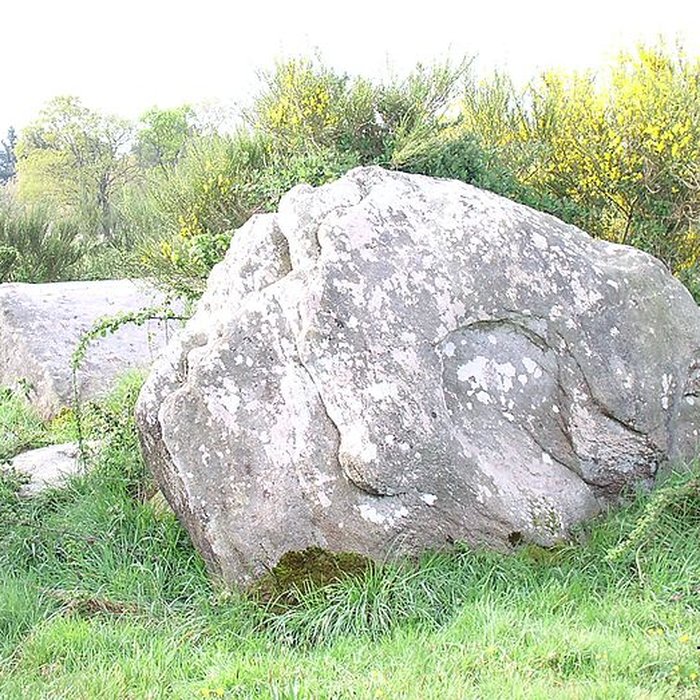Photo de Dolmens de Kerbourg à Saint-Lyphard