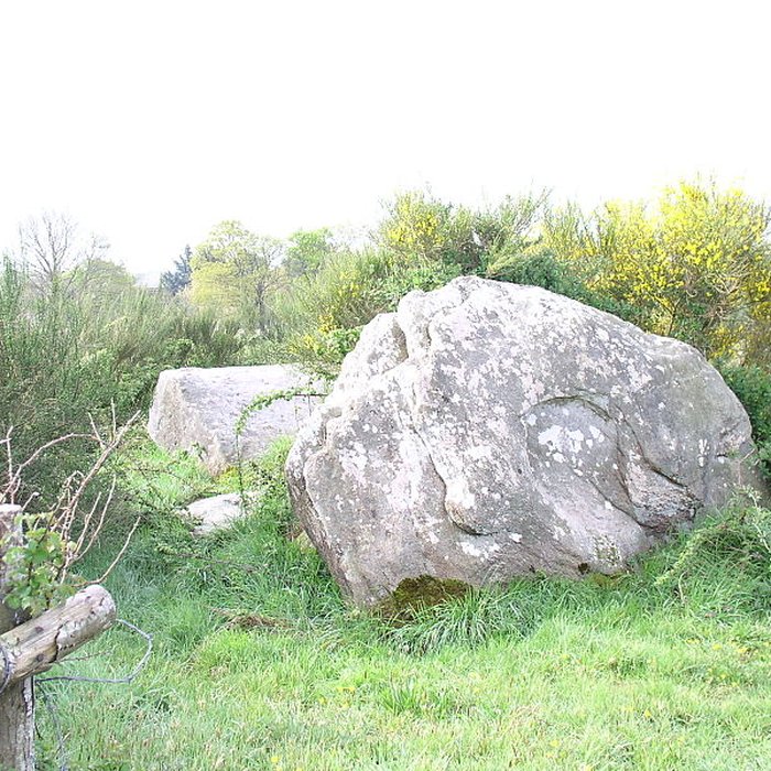 Photo de Dolmens de Kerbourg à Saint-Lyphard