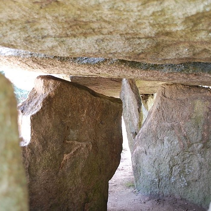 Photo de Dolmens de Kerbourg à Saint-Lyphard