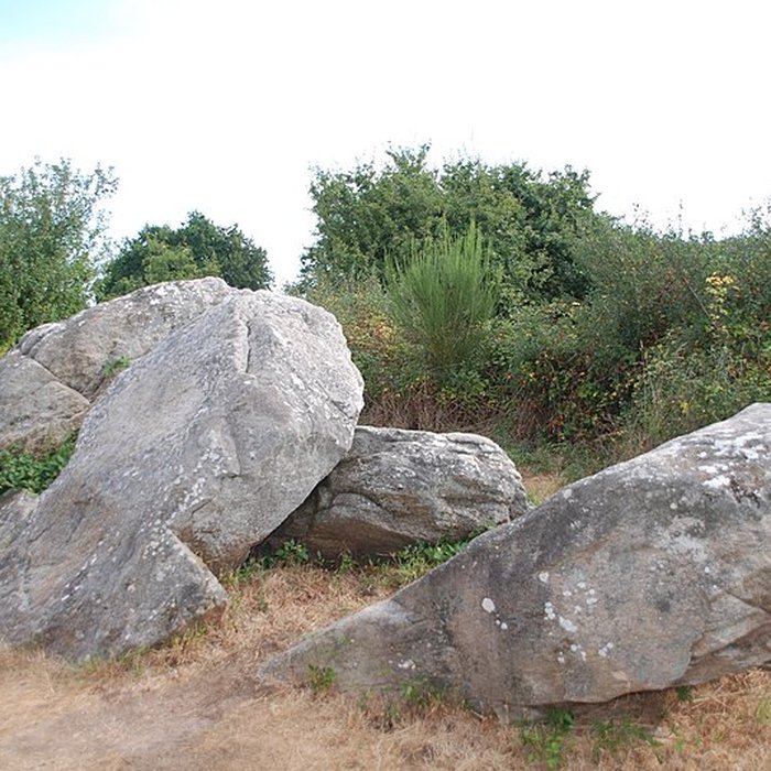 Photo de Dolmens de Kerbourg à Saint-Lyphard