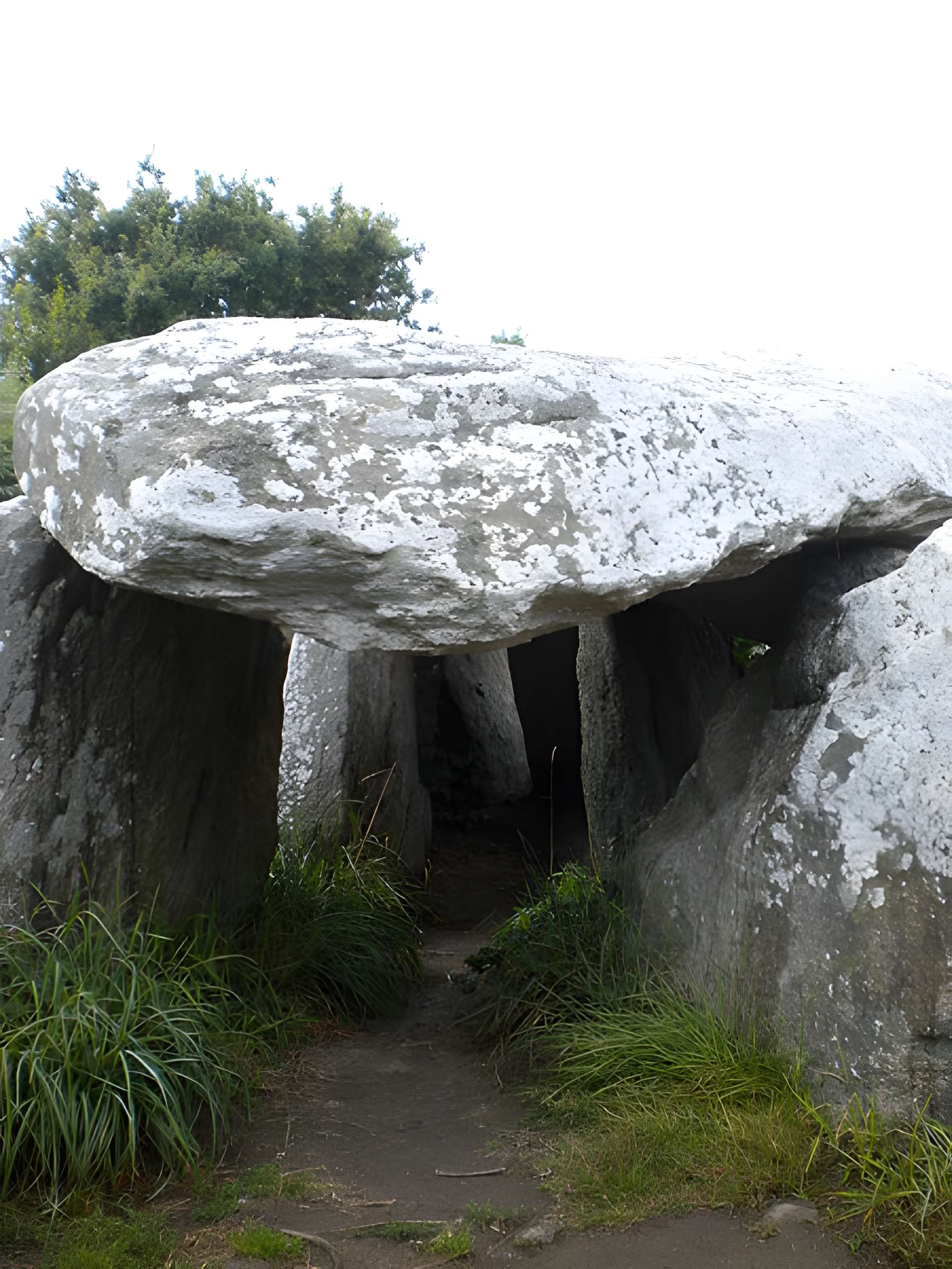 Dolmens de Kerbourg à Saint-Lyphard
