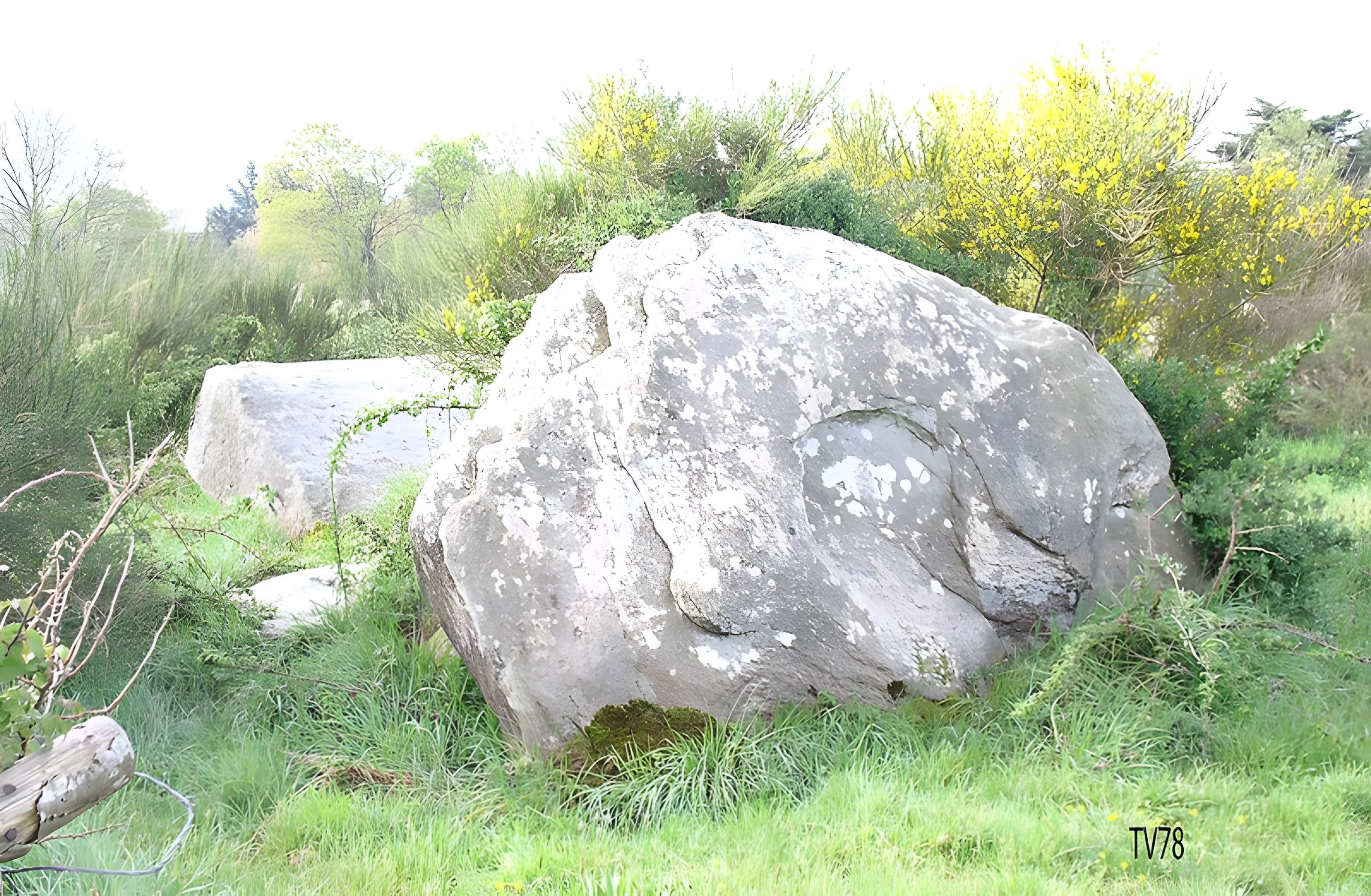 Dolmens de Kerbourg à Saint-Lyphard