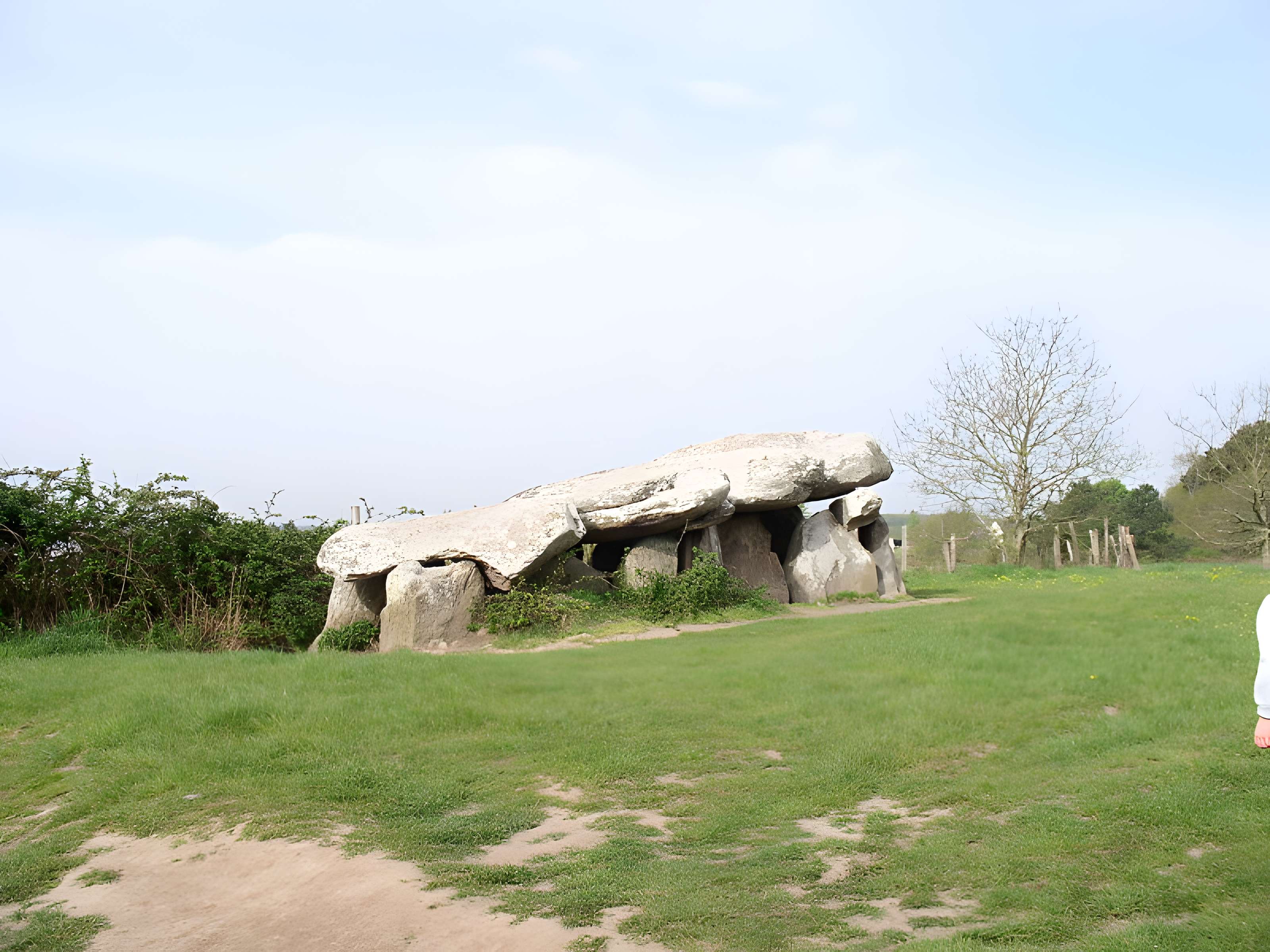 Dolmens de Kerbourg à Saint-Lyphard