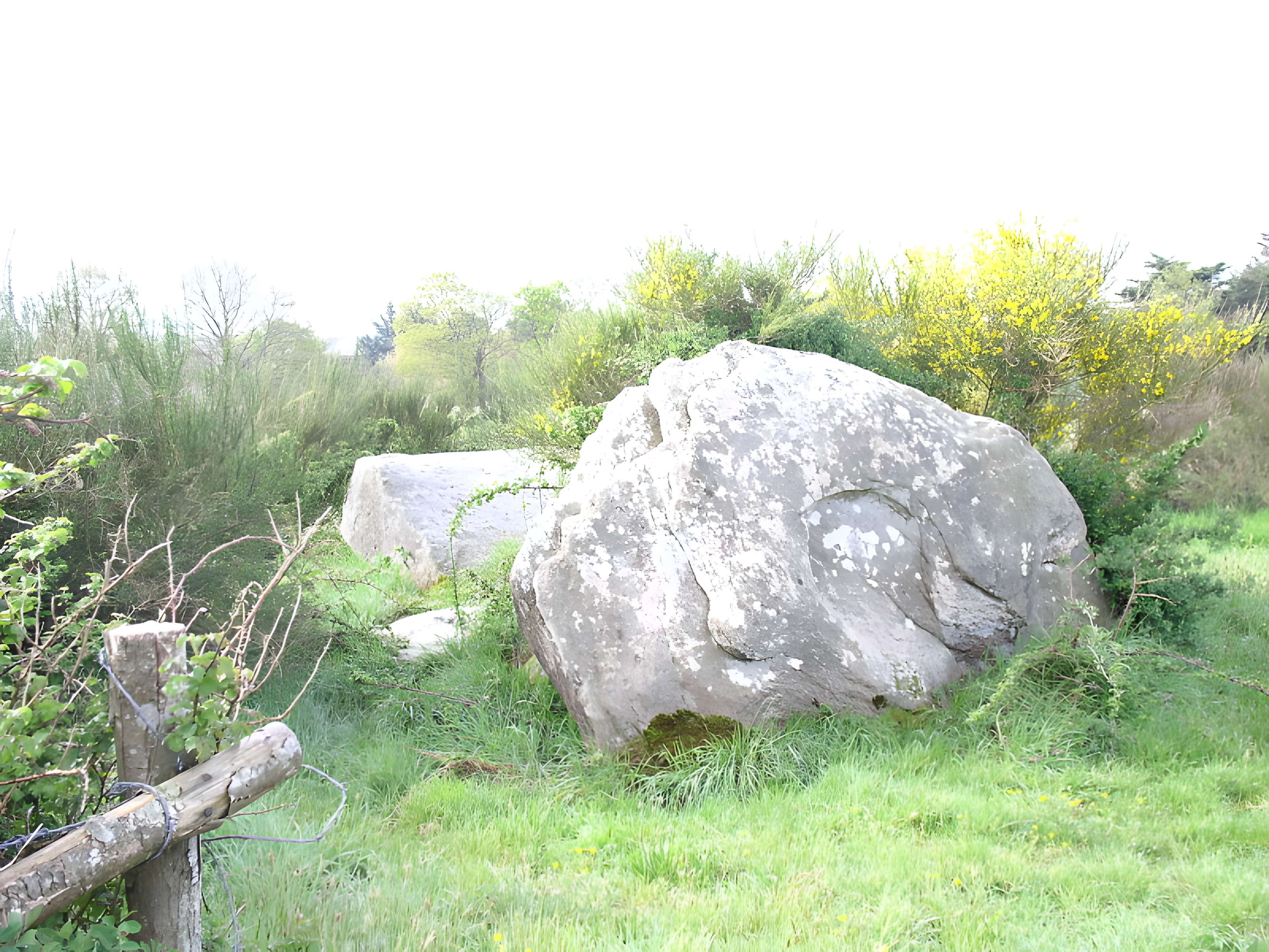 Dolmens de Kerbourg à Saint-Lyphard