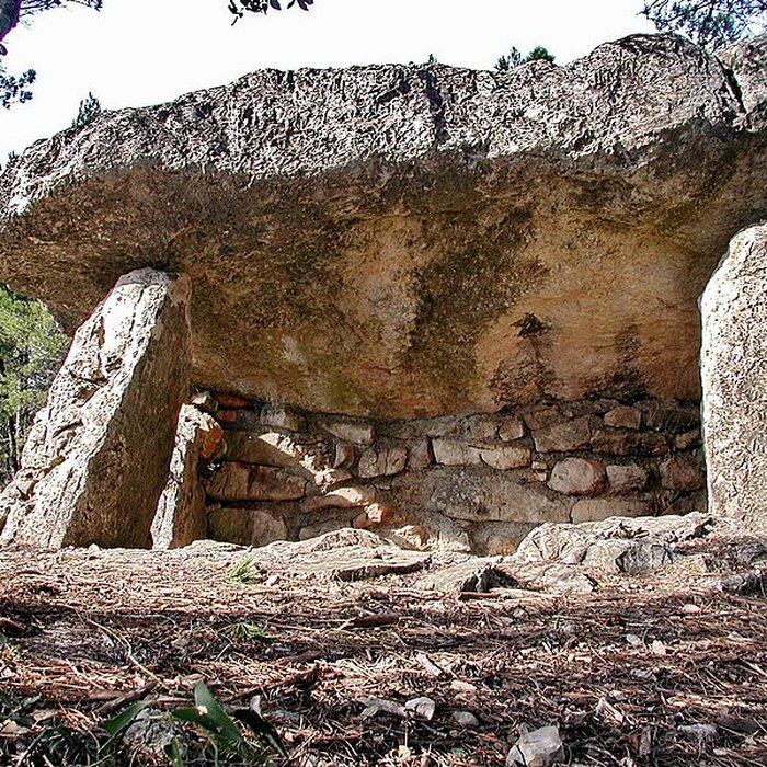 Photo de Dolmens des Adrets N 3 de Brignoles