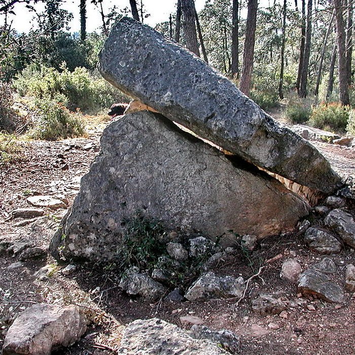 Photo de Dolmens des Adrets N 3 de Brignoles
