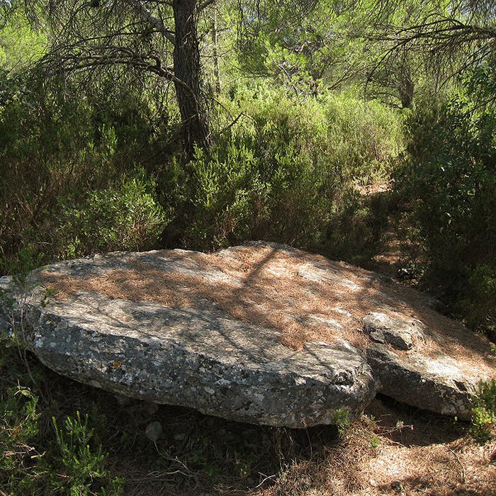Photo de Dolmens des Adrets N 3 de Brignoles