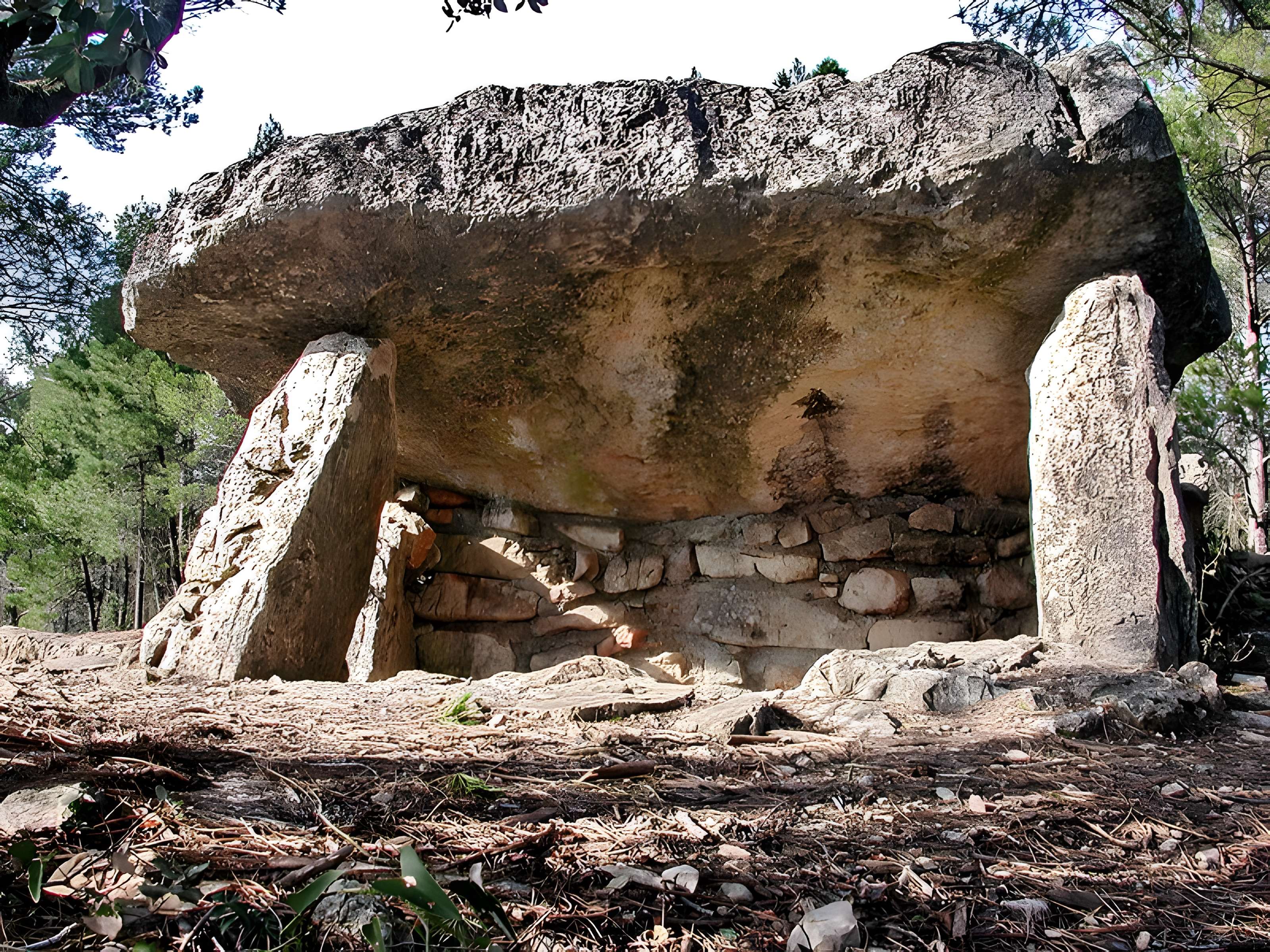 Dolmens des Adrets N° 3 de Brignoles