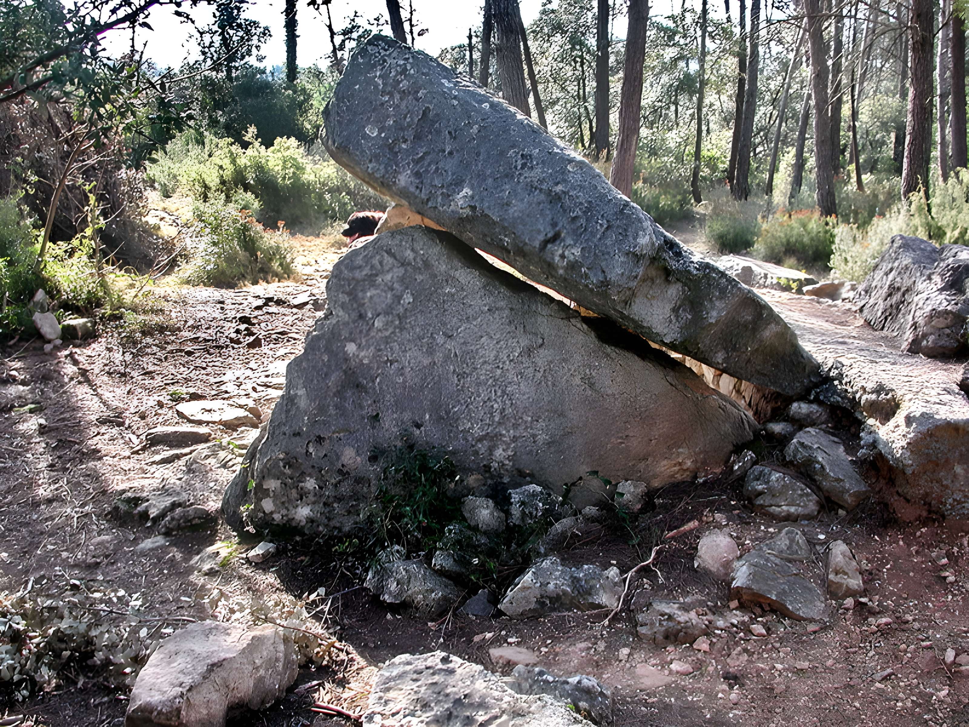 Dolmens des Adrets N° 3 de Brignoles