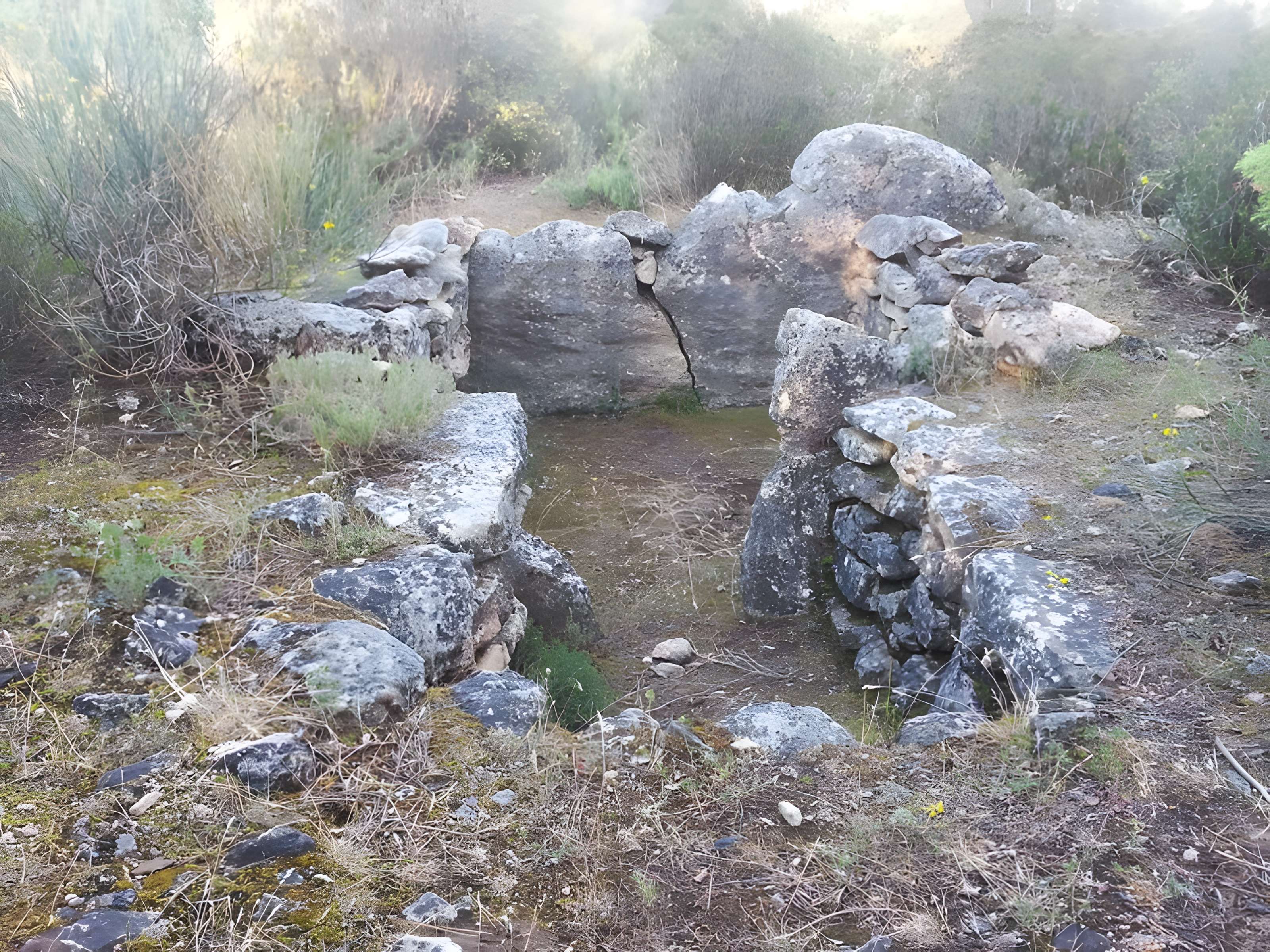 Dolmens des Adrets N° 3 de Brignoles