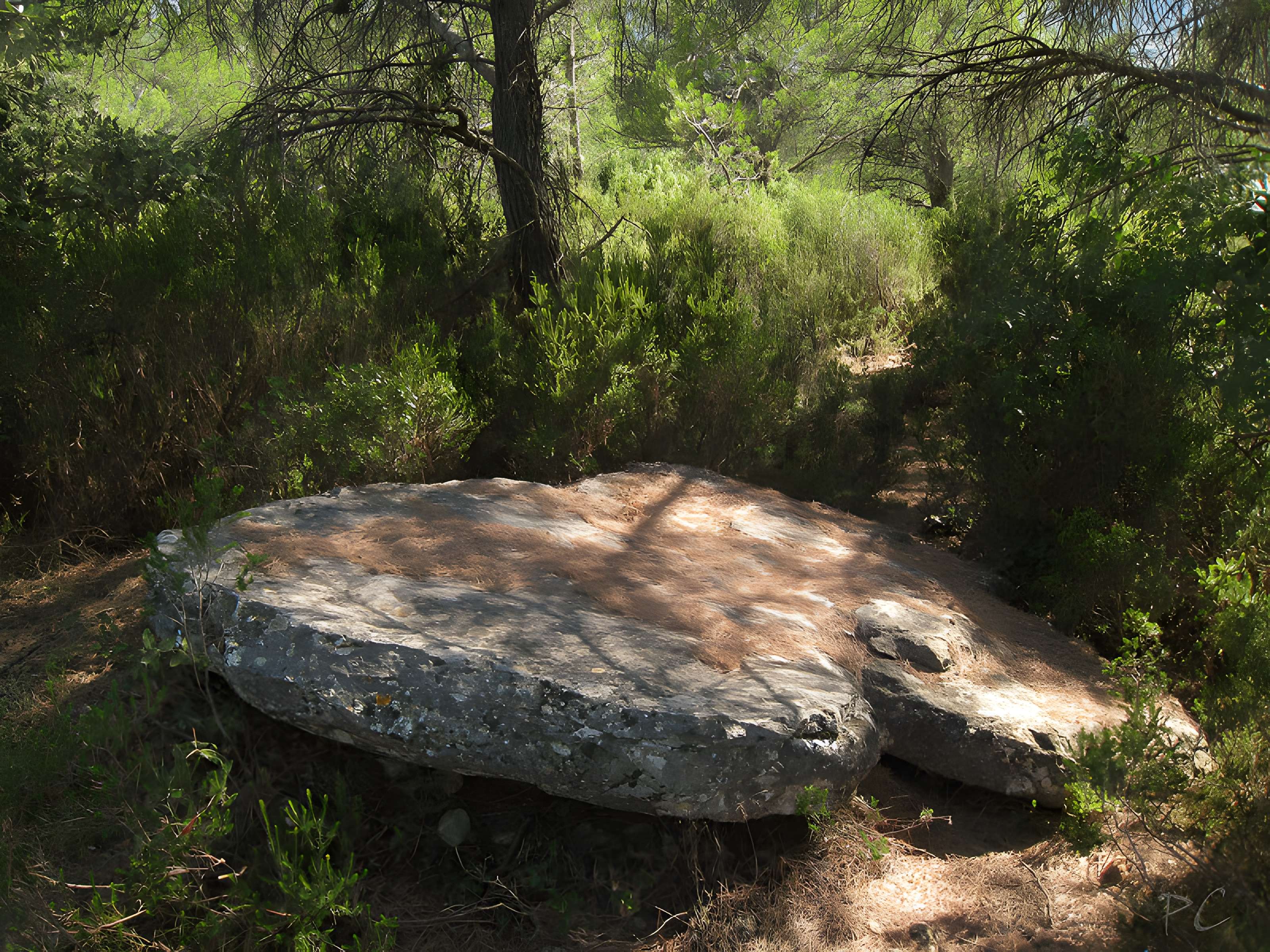 Dolmens des Adrets N° 3 de Brignoles