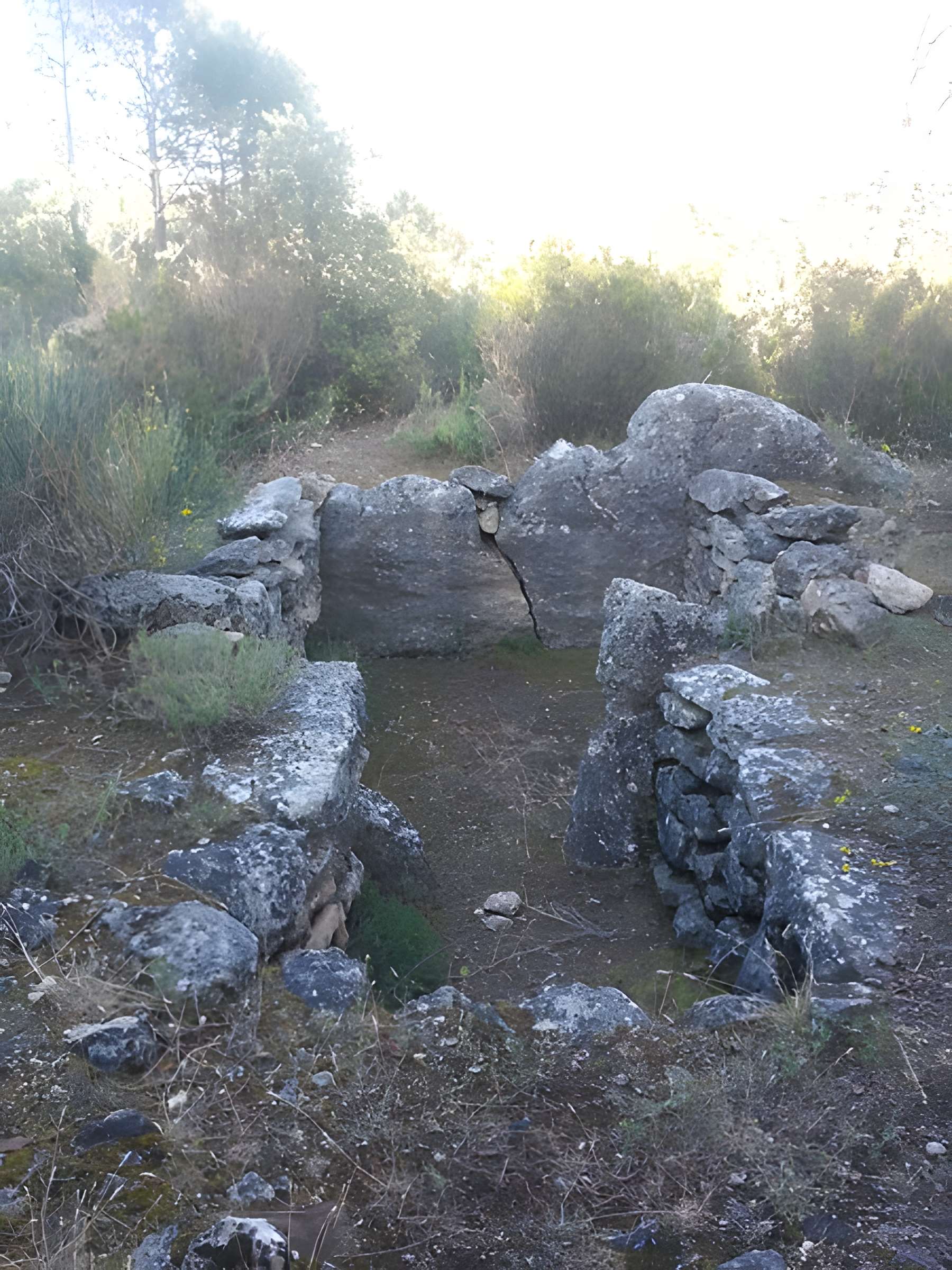 Dolmens des Adrets N° 3 de Brignoles