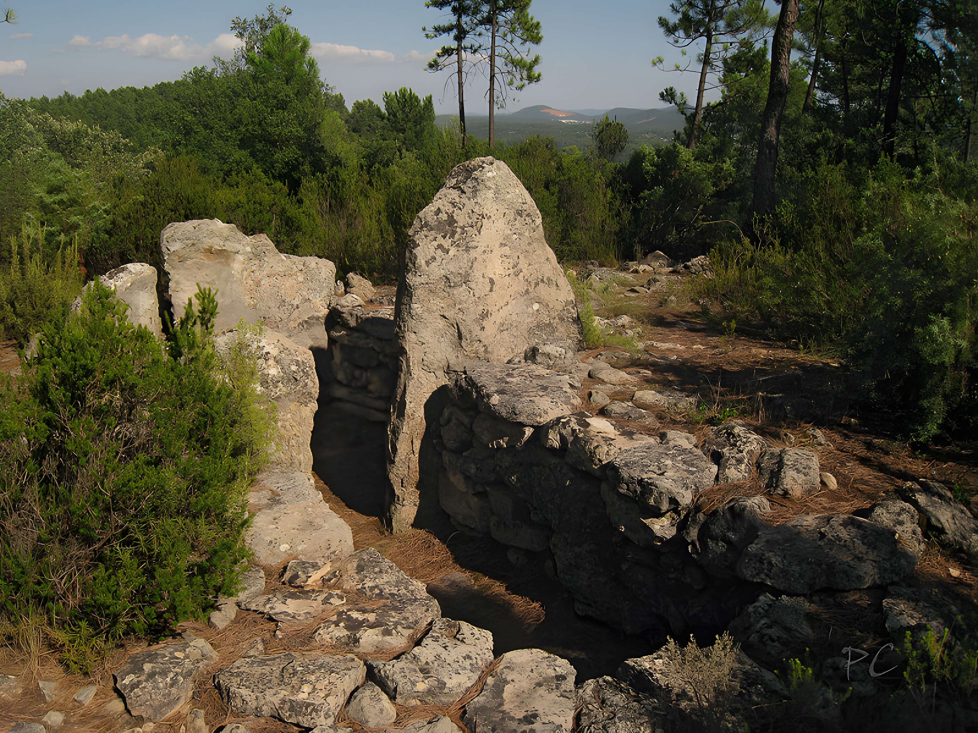 Dolmens des Adrets N° 3 de Brignoles