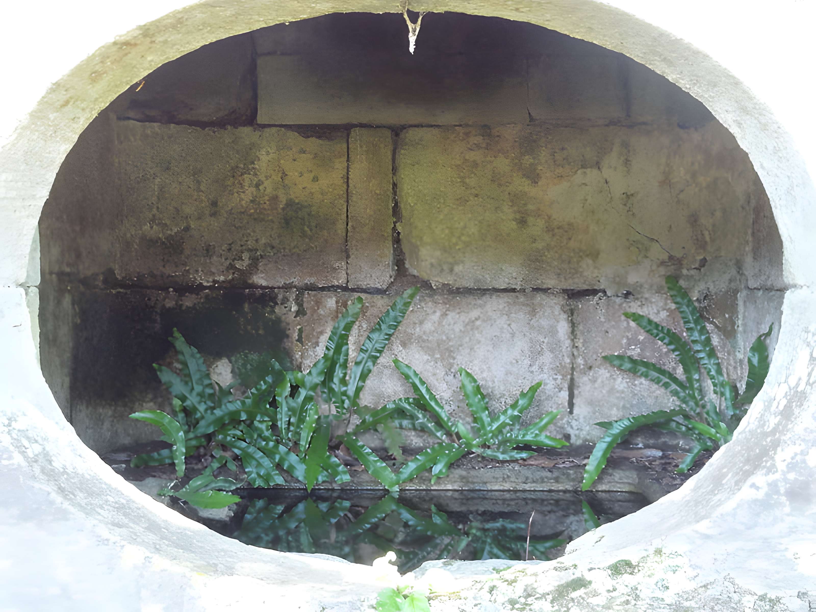 Domaine de Villarceaux