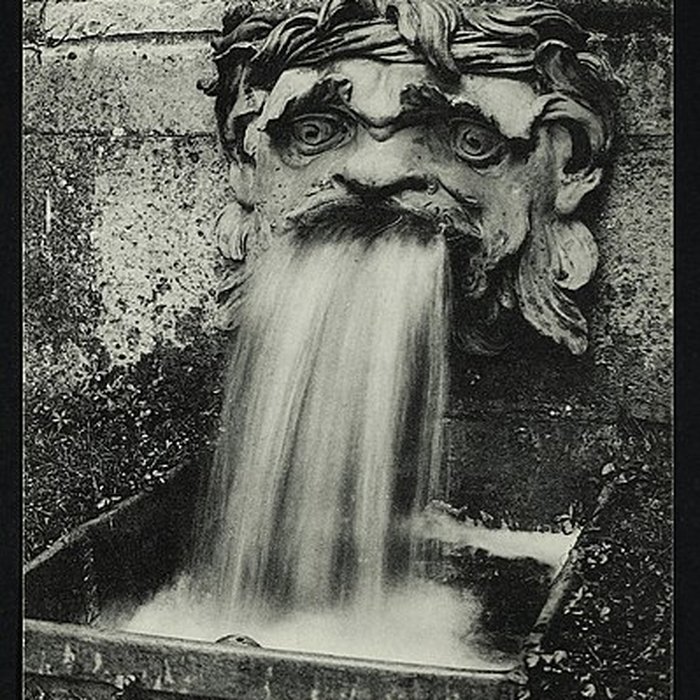 Photo de Domaine national de Saint-Cloud