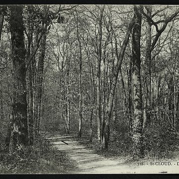 Domaine national de Saint-Cloud