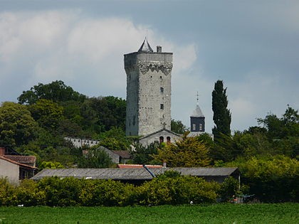 Photo de Donjon de Curçay-sur-Dive