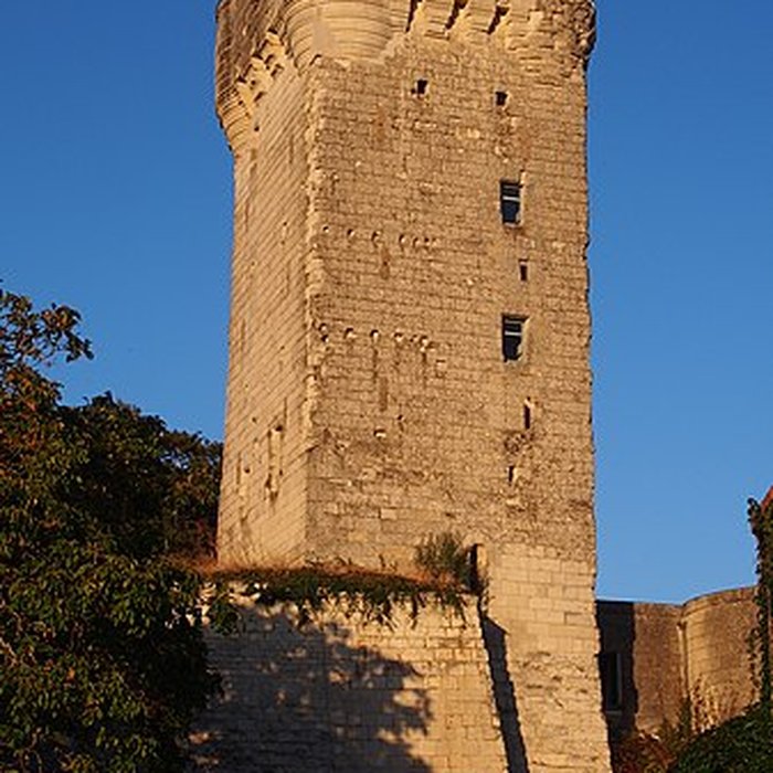 Photo de Donjon de Curçay-sur-Dive