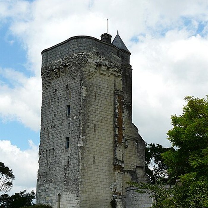 Photo de Donjon de Curçay-sur-Dive