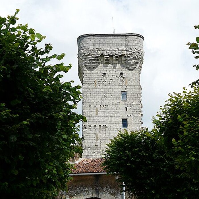 Photo de Donjon de Curçay-sur-Dive